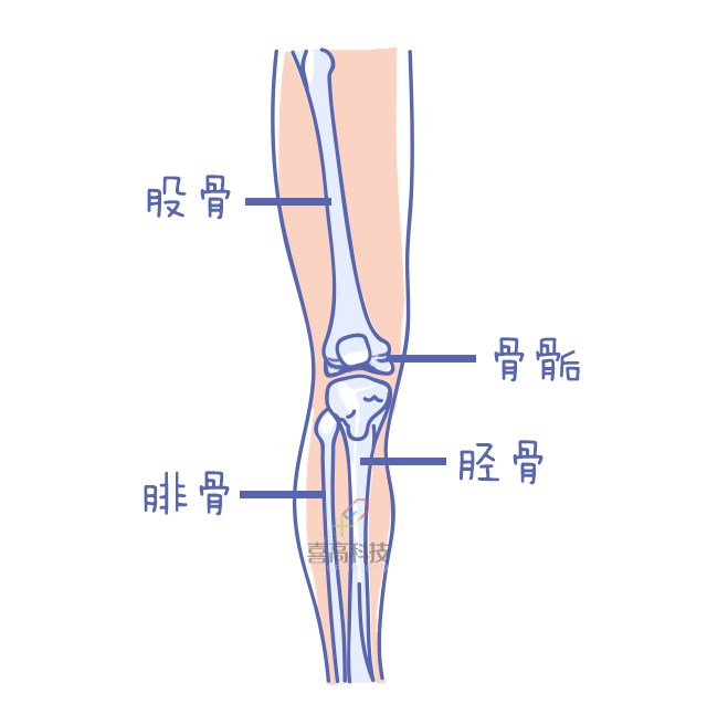 重啟骨骺線~你看起來很誘人！_10.png