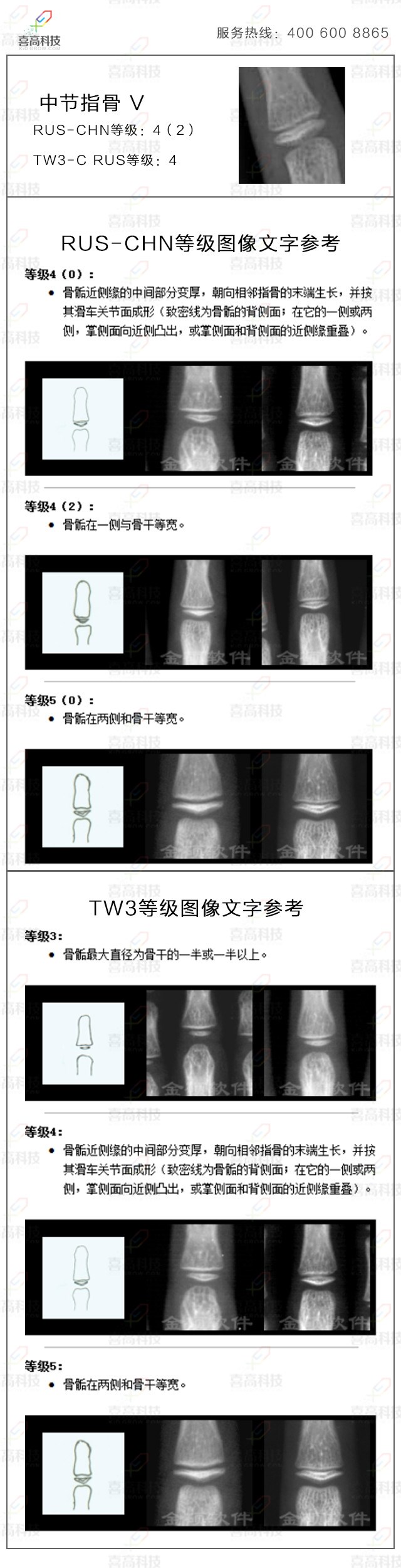 12-zhongwu.jpg