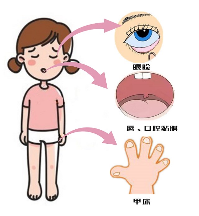 默認(rèn)標(biāo)題_自定義px_2019.02.13 (5).png