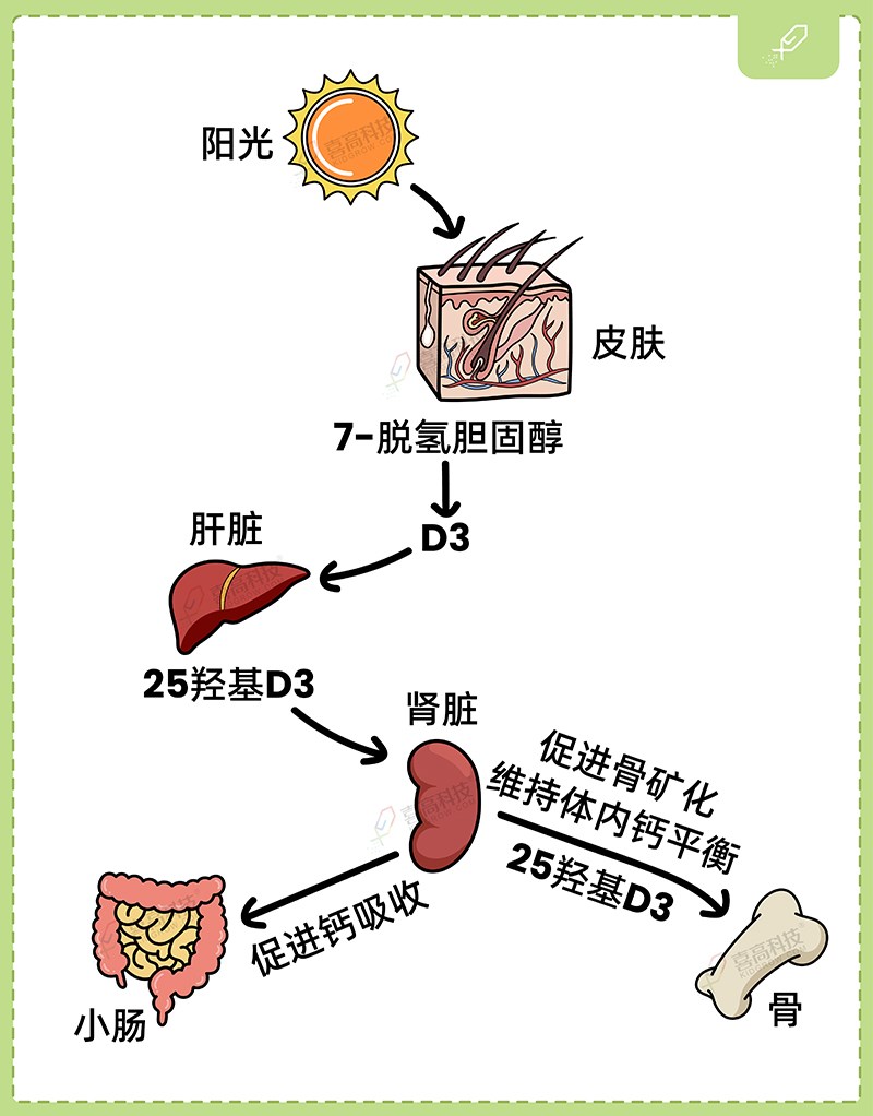 1_畫(huà)板 1 副本 2.jpg